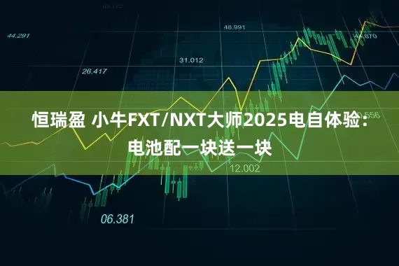 恒瑞盈 小牛FXT/NXT大师2025电自体验：电池配一块送一块