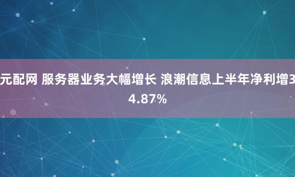 元配网 服务器业务大幅增长 浪潮信息上半年净利增34.87%